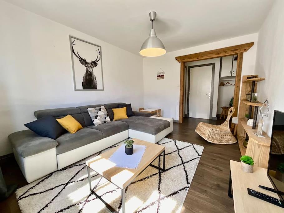 Epicea, Bel Appartement Avec Balcon Au Centre Ville 热拉梅 外观 照片